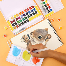 ̝����؛���wˮ��������b 12ɫ��y�L��ˮ�ܷ��ˮ��ˮ�ʮ����