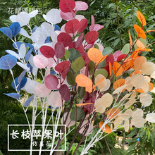 �S�����l���滨���X�~�ȼ����~�ӻ�c����ֲ���b��O���~��֦