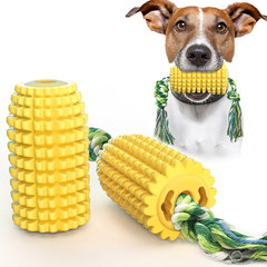 Amazon Pet Supplies Dog Toys Chewing Sticks Dental Clean Bones Toothbrush Manufacturer Corn With Rope
