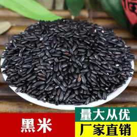 大量批发黑米 东北黑香米 五谷杂粮粗粮黑米 黑大米 量大从优