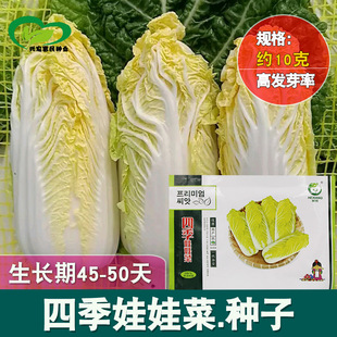 �ļ����޲˷N�� �r��˵��r�������ͺ��s���Y��o���S�İײ���