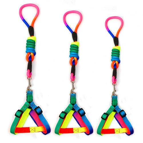 Colorful nylon round rope chest and back dog leash wholesale pet supplies dog rope pet leash
