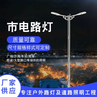加工定制路灯led双臂灯单臂灯8米9米10米12米市政户外照明