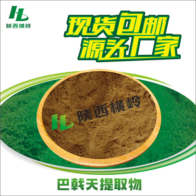 巴戟天提取物 50:1提取巴戟天 含巴戟天皂甙 巴戟天粉 横岭供应