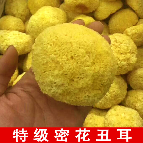 Dried Snow Fungus Bulk Wholesale - White Fungus, Ugly Ear, Glutinous Ear, Snow Ear - Direct Supply from Gutian Origin - 500g