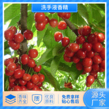 �L�����l�J�Cϴ��Һ�㾫 ��sϴ��Һ�㾫 ϴ����Ʒϴ��Һ�㾫