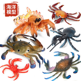 ��ͯ���挍���J֪��������ģ���з�ľ�з����з�r���z��ߔ[��