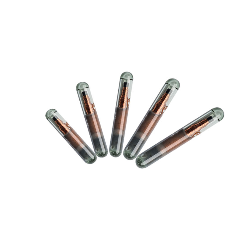 创新佳供应低频EM4305射频芯片RFID注入式动物标签