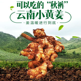 ���С�S�����r�������ӽ����r�߲�5��10����x�ؔ��Ͻ��r��