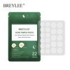 Breylee Tea Tree Daily Patch /Night Patch 0.1mm