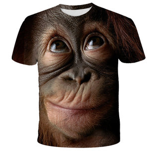 ���Sֱ�I�ļ��羳��ʿӡ��3D�����ɶ���T����һ�����l����ͯ�b