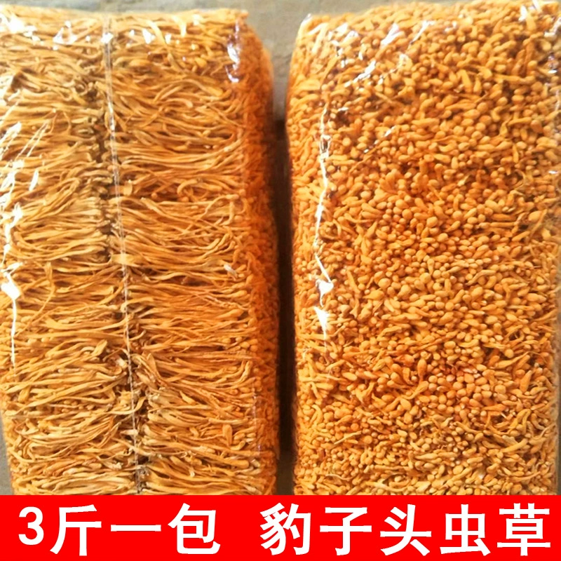 Кордицепс цветы оптом сумки Кордицепс militaris голова леопарда съедобный гриб сухие товары происхождение прямое 1000 г