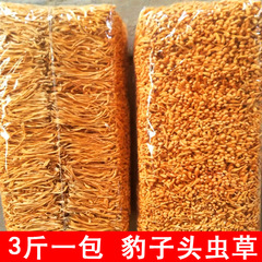 Bagged wholesale cordyceps militaris, insect cordyceps, leopard head mushrooms, dried edible fungi, direct source from the hometown, 1000g