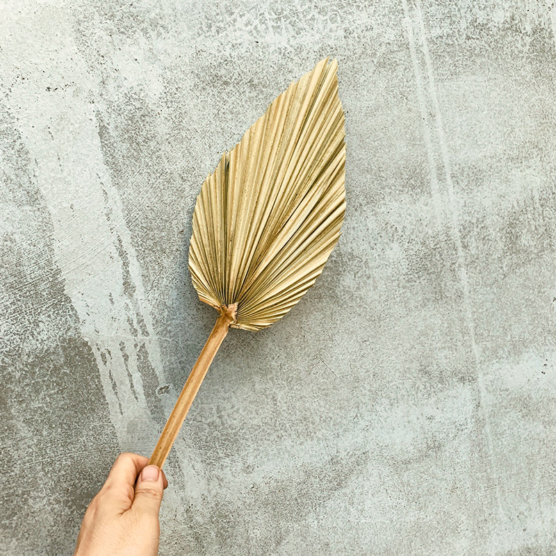 Pu fan hoja girasol fan hoja grande flor seca hoja de palma ventana vino fiesta arte colgante de pared decoración boda Arco de la boda diseño