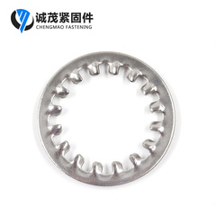 M3-30 304 stainless steel inner and outer serrated locking washer inner and outer tooth ring DIN6798A conical serrated washer