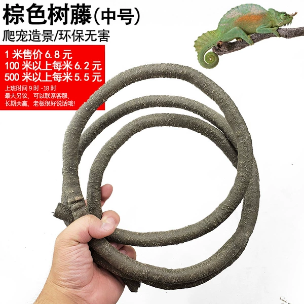 Mid -node tree vine brown