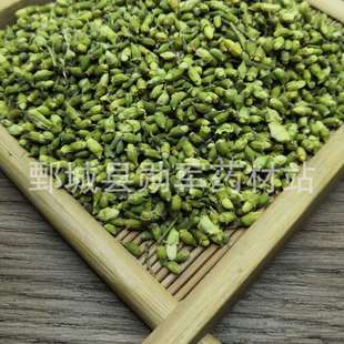 ���l��ș�� ���� ���� ������