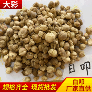 ���l�{ζ���ϰ׿� �{���u�ϰ׶�ޢ �V��ɢ�b�׿ۻ�偵������l