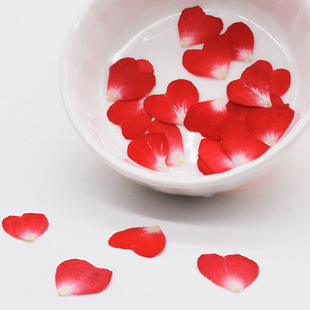 Rose Rose Love Petal Dried Flower Embossed Handmade Dropping Glue Jewelry Nail Art Face Decal Mobile Phone Case Material Bag