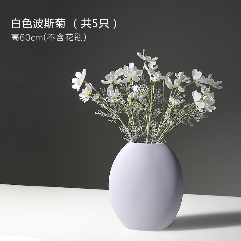 5 Crisantemo persa blanco (sin jarrón)