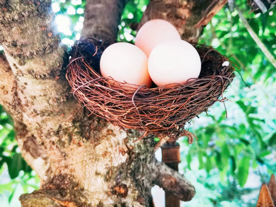 Птичье гнездо из ротанга Ретро Птичье гнездо от производителей