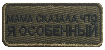Cloth patch, Mom said I am special, exquisite embroidered Velcro patch, outdoor accessories armband, backpack patch
