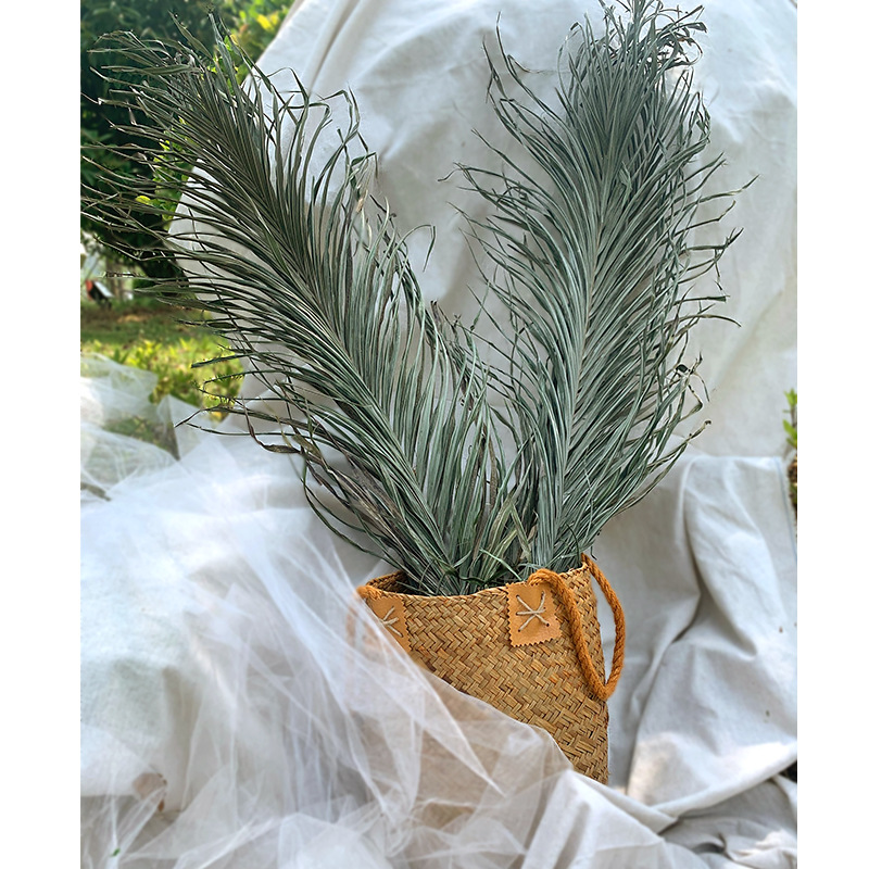 Pu fan hoja girasol fan hoja grande flor seca hoja de palma ventana vino fiesta arte colgante de pared decoración boda Arco de la boda diseño