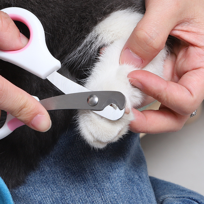 Fábrica al por mayor pequeño gato burbuja protector de dedo de goma gato cortaúñas mascotas limpieza garra amoladora con archivo