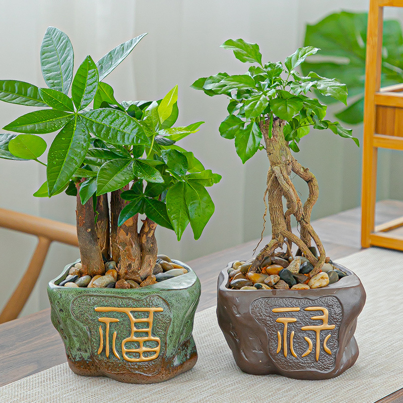 陶瓷花盆复古透气盆栽紫砂家居桌面盆景绿植摆件老桩多肉花盆批发