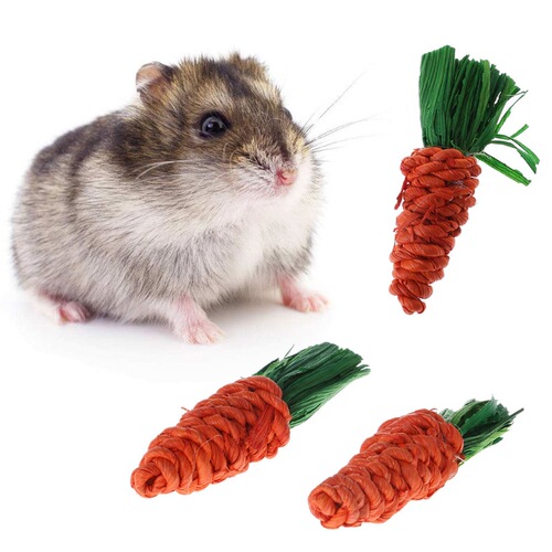 Factory direct sales hamster rabbit chinchilla molar toys molar carrot parrot chew molar straw radish