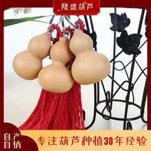 �Ԯa���N���J耳�朒�� ܇耳��Ʒ��� ����D����ˇ���J���