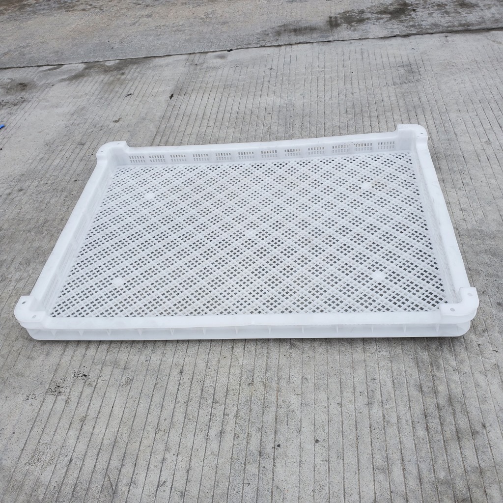 食品厂用烘干盘810*600*70mm网格塑胶晾晒盘带孔透气浅口方筛收纳