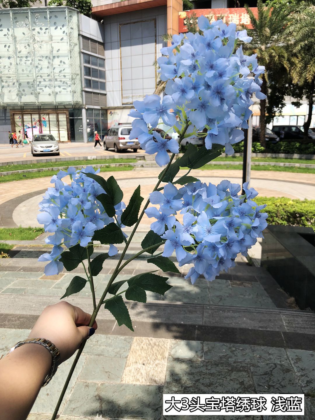 Hortensia de pagoda de 3 cabezas azul claro