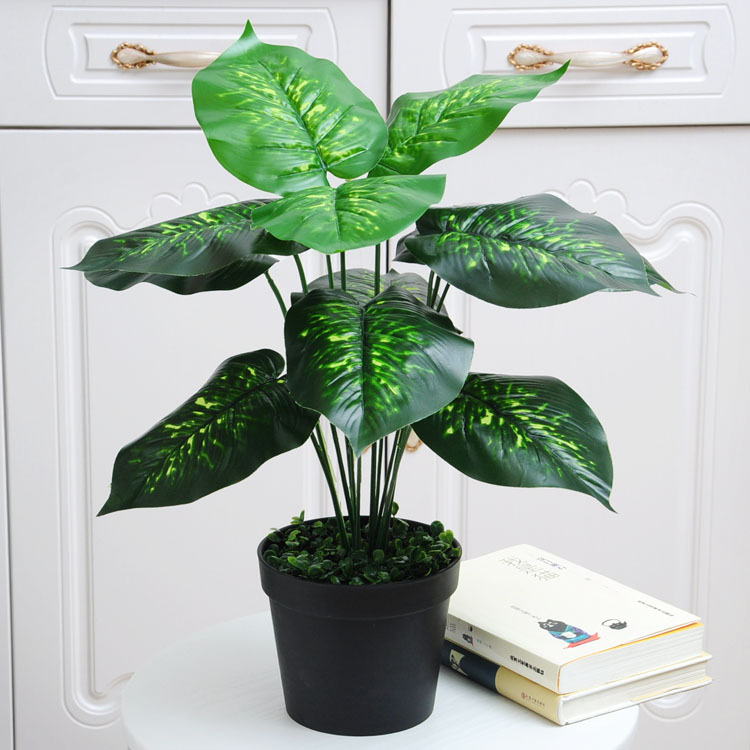 12 tenedor rábano verde (Cuenca negro con espuma)