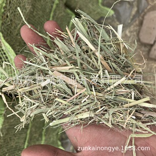 2023���¼ӹ���ɲ� ţ�R�򽛝����݄���@��ُ���� é�Ӳ�С�JȔ