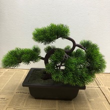 ����Gֲ �����辰�k�����҃��b�Ʒ ��������Է���ֲ�����ˮ��