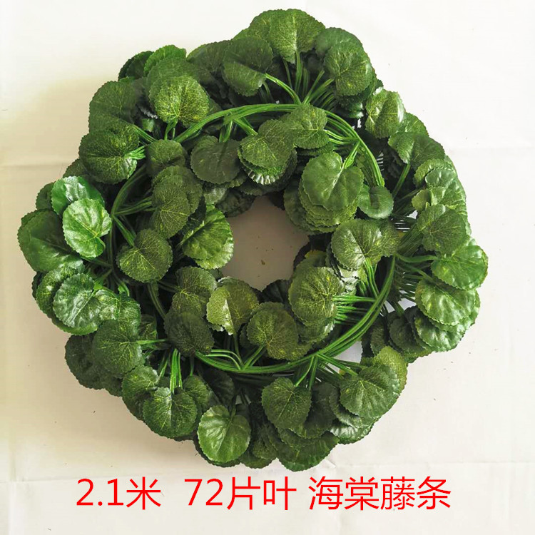 72 piezas de hojas de Begonia 1 paquete (12 piezas)