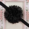 No. 2 black