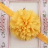 No. 4 yellow