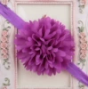 No. 8 dark purple