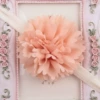 No. 16 snow bud color