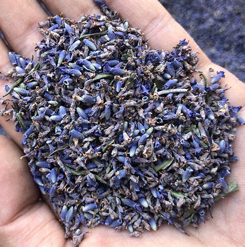 Dried Lavender Flower Granules for Filling Sachets and Pillows, New Fragrance, Genuine Flowers from Xinjiang, Wholesale from Manufacturer, Air-Dried Dried Lavender Flower Granules for Filling Sachets and Pillows, New Fragrance, Genuine Flowers from Xinjiang, Wholesale from Manufacturer, Air-Dried