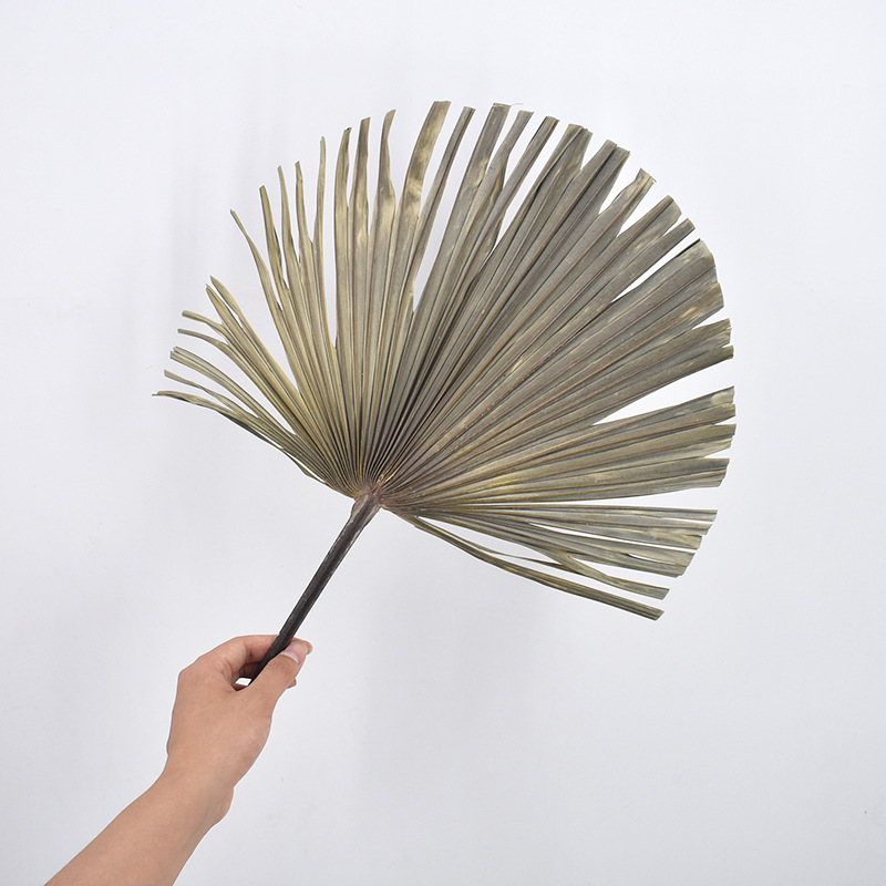 Pu fan hoja girasol fan hoja grande flor seca hoja de palma ventana vino fiesta arte colgante de pared decoración boda Arco de la boda diseño