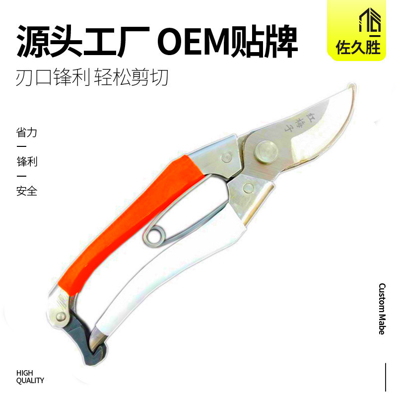 源头厂货 园林剪枝花艺剪刀 园艺工具果树粗枝剪 鸟嘴修枝剪花卉