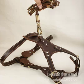 狗狗牵引;狗狗玩具;宠物项圈