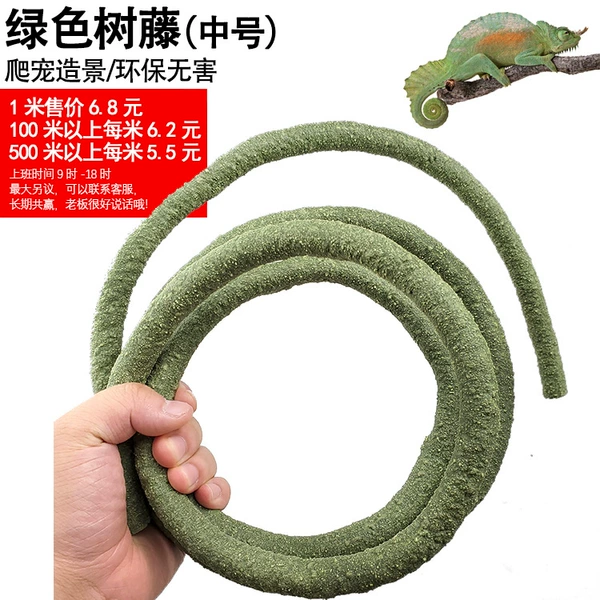 Mid -naming tree vine green