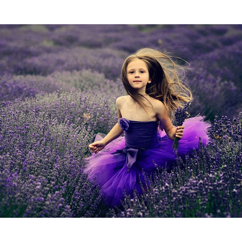 Lavender DIY digital oil painting factory wholesale frameless combination box stretched good inner frame style cross-border a generation of hair Lavender DIY digital oil painting factory wholesale frameless combination box stretched good inner frame style cross-border a generation of hair