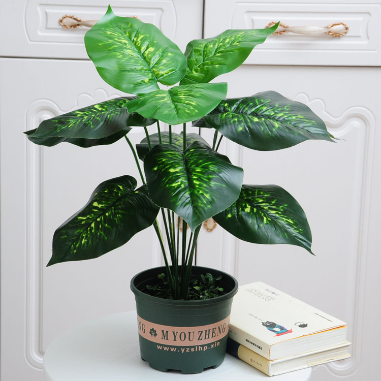 12 Tenedor de rábano verde (Cuenca Verde corto con espuma)