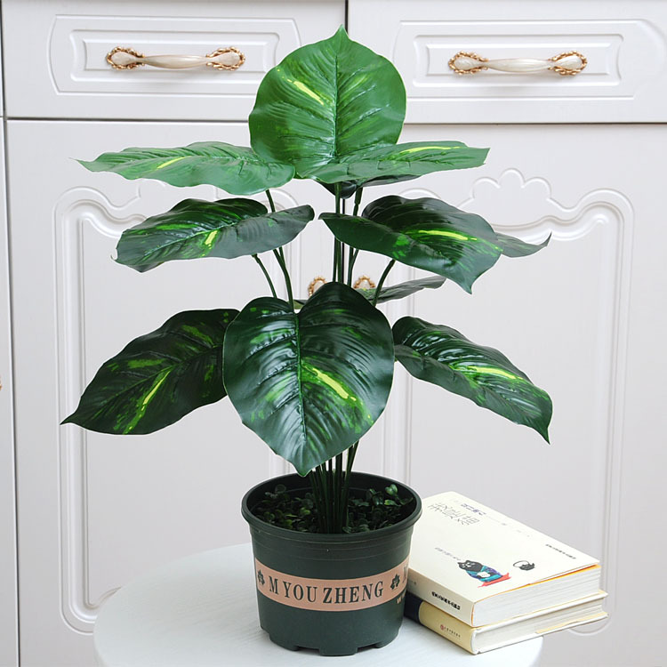 12 Tenedor de hoja perenne (Cuenca Verde corto con espuma)