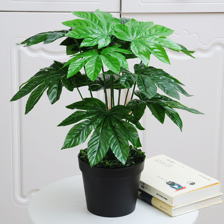 Placa de oro octogonal 12-Tenedor (lavabo negro con espuma)